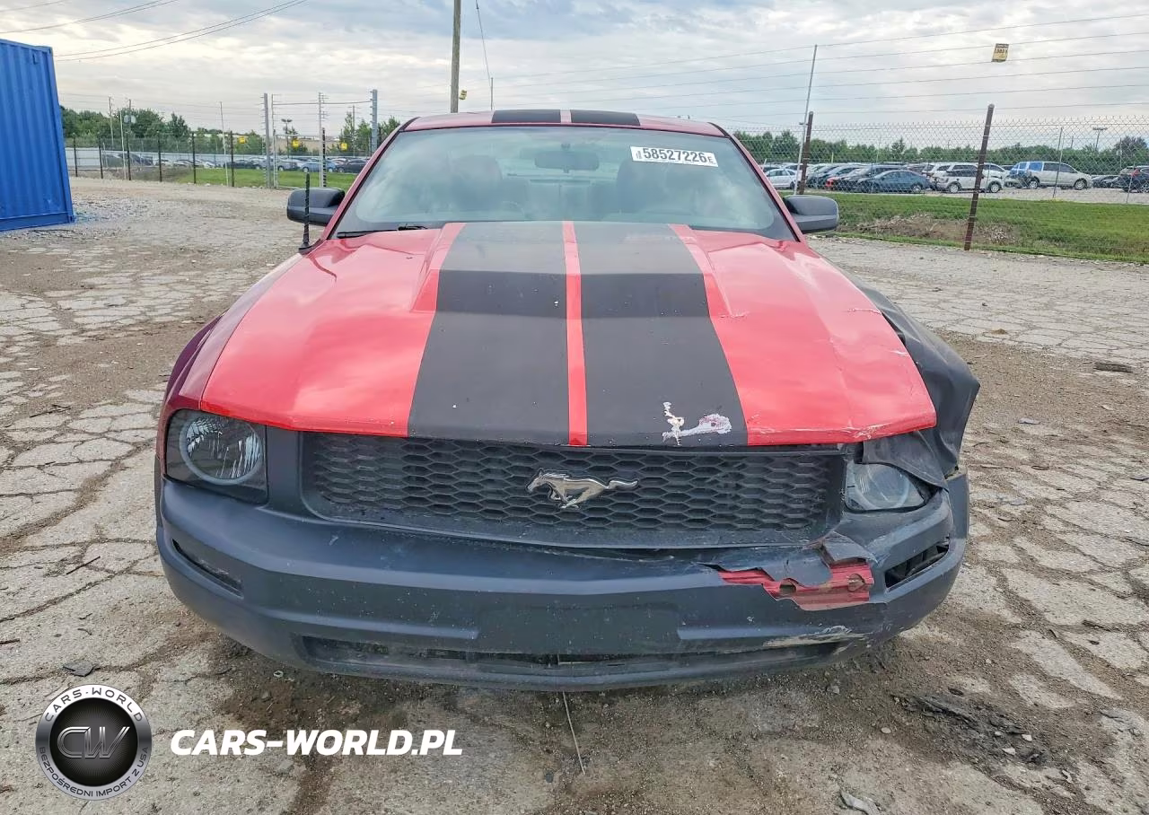2005 Ford Mustang VIN:1ZVFT80N155151898 - 5