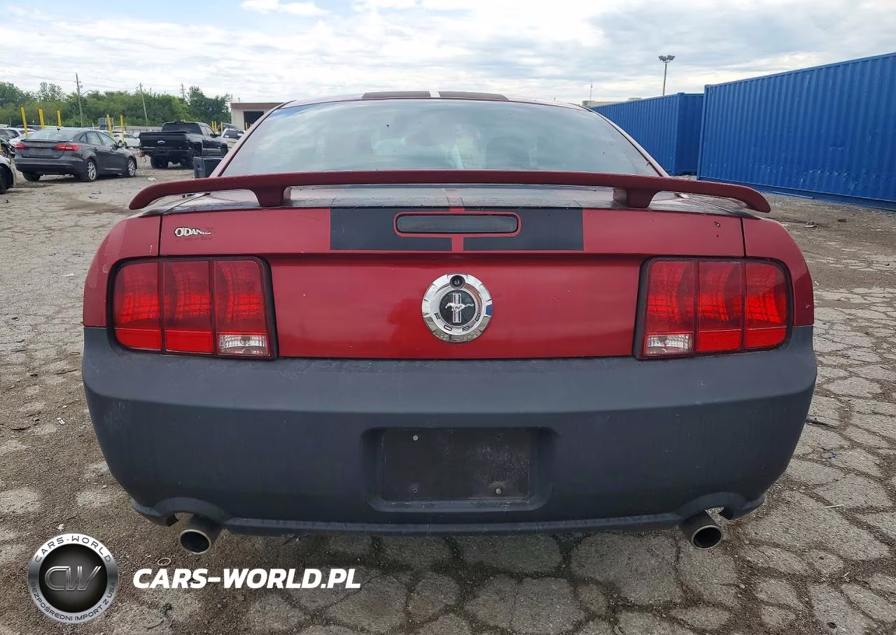 2005 Ford Mustang VIN:1ZVFT80N155151898 - 6