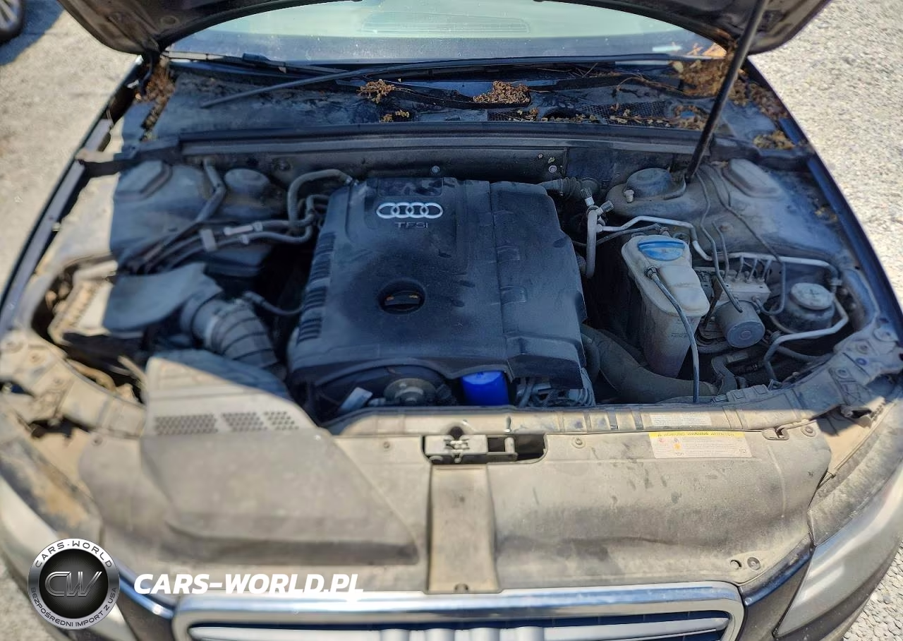 2011 Audi A4 Premium Plus VIN:WAUFFAFL5BN018156 - 11