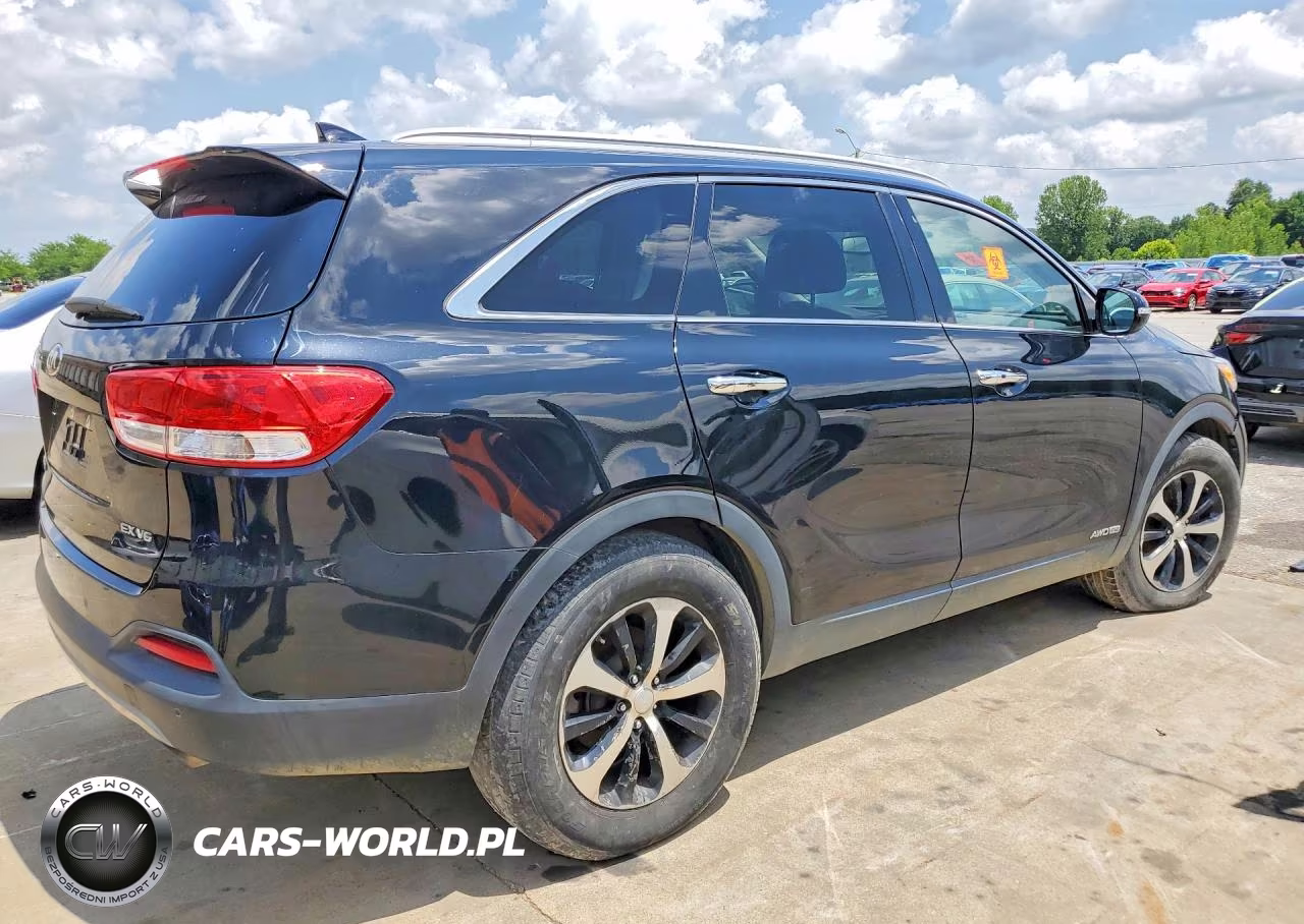 2017 Kia Sorento Ex VIN:5XYPHDA50HG247839 - 3