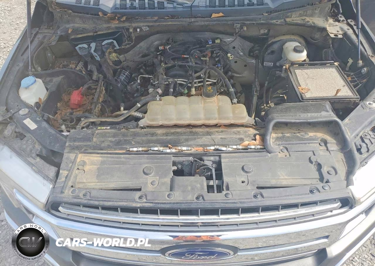 2020 Ford F150 Supercrew VIN:1FTEW1C59LFA21965 - 11