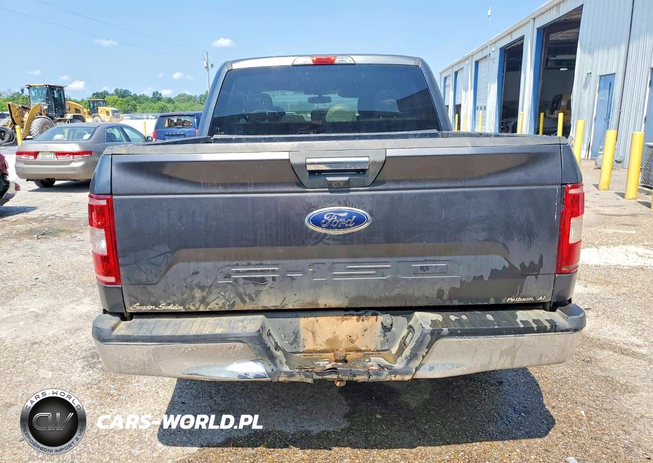 2020 Ford F150 Supercrew VIN:1FTEW1C59LFA21965 - 6