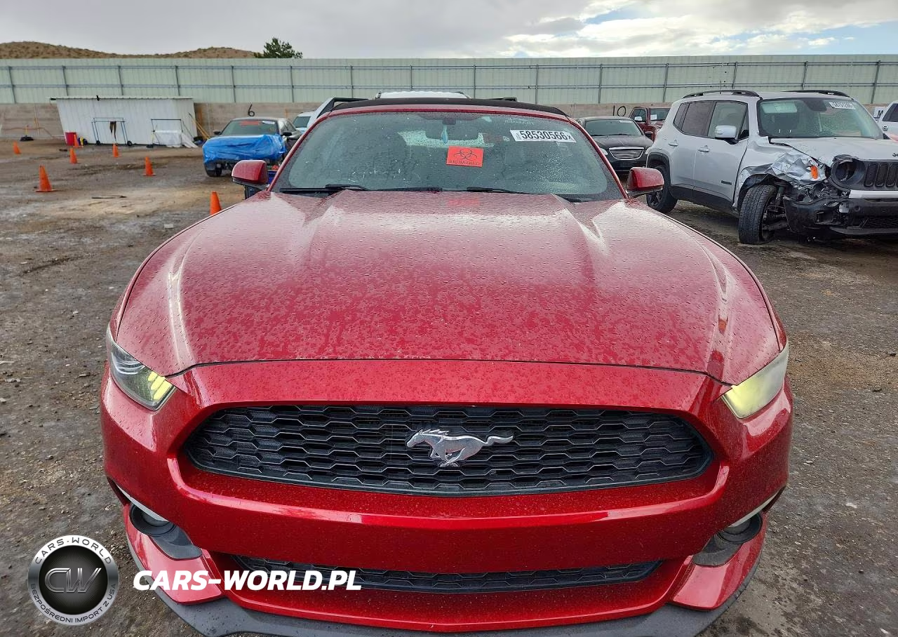 2017 Ford Mustang VIN:1FATP8UH5H5307949 - 5