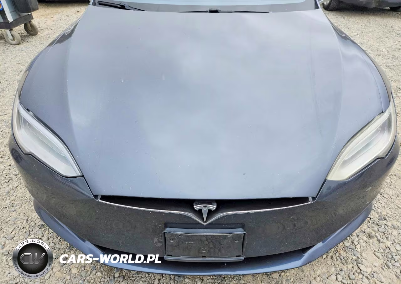 2017 Tesla Model S VIN:5YJSA1E13HF184540 - 12