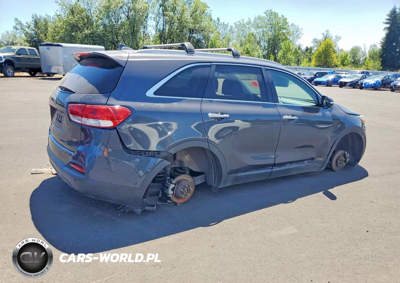 2017 Kia Sorento VIN:5XYPGDA3XHG252600 - 3