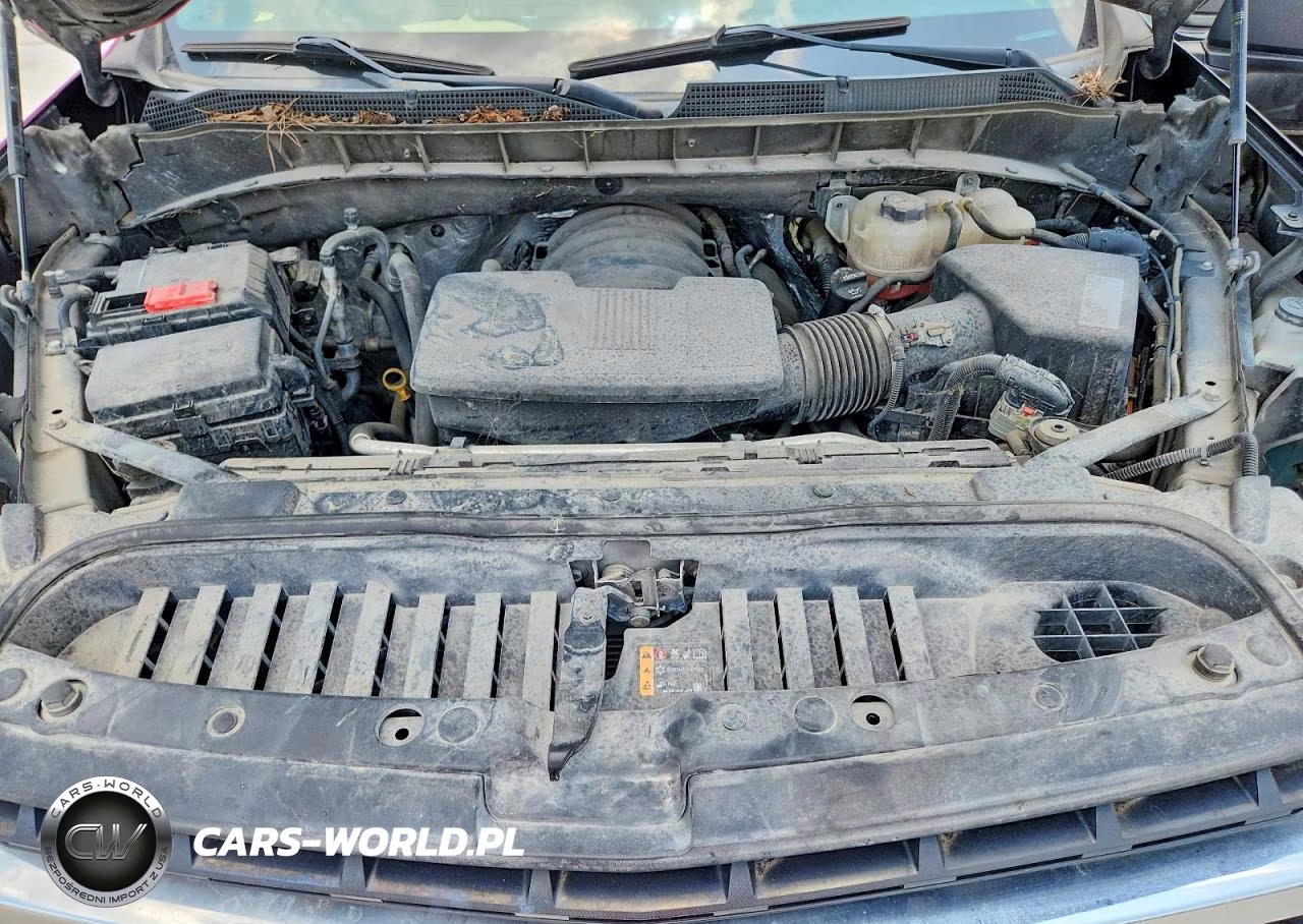 2019 Chevrolet Silverado K1500 Lt VIN:3GCUYDED3KG260484 - 11