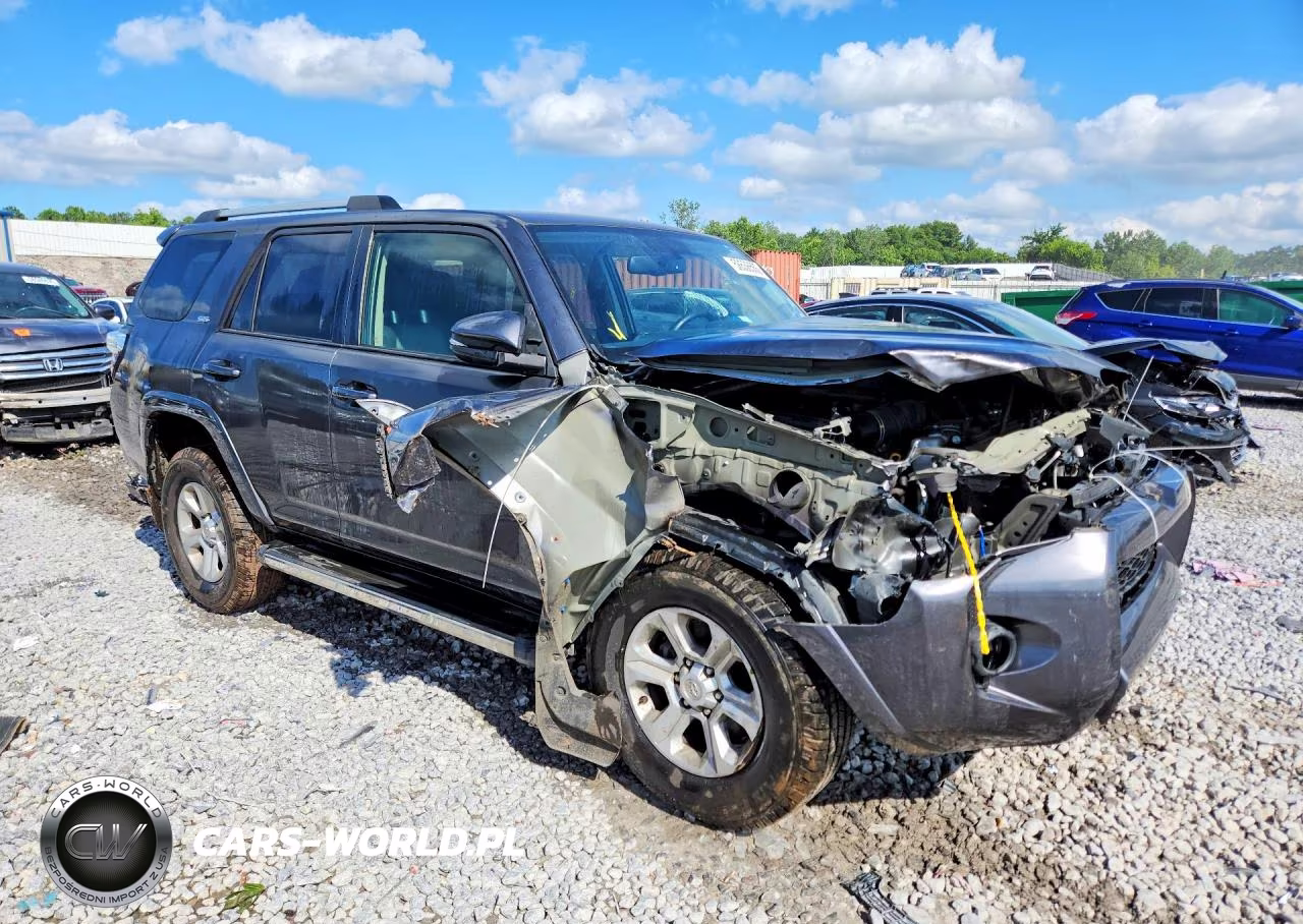 2019 Toyota 4Runner Sr5 Premium VIN:JTEZU5JR8K5204410 - 4