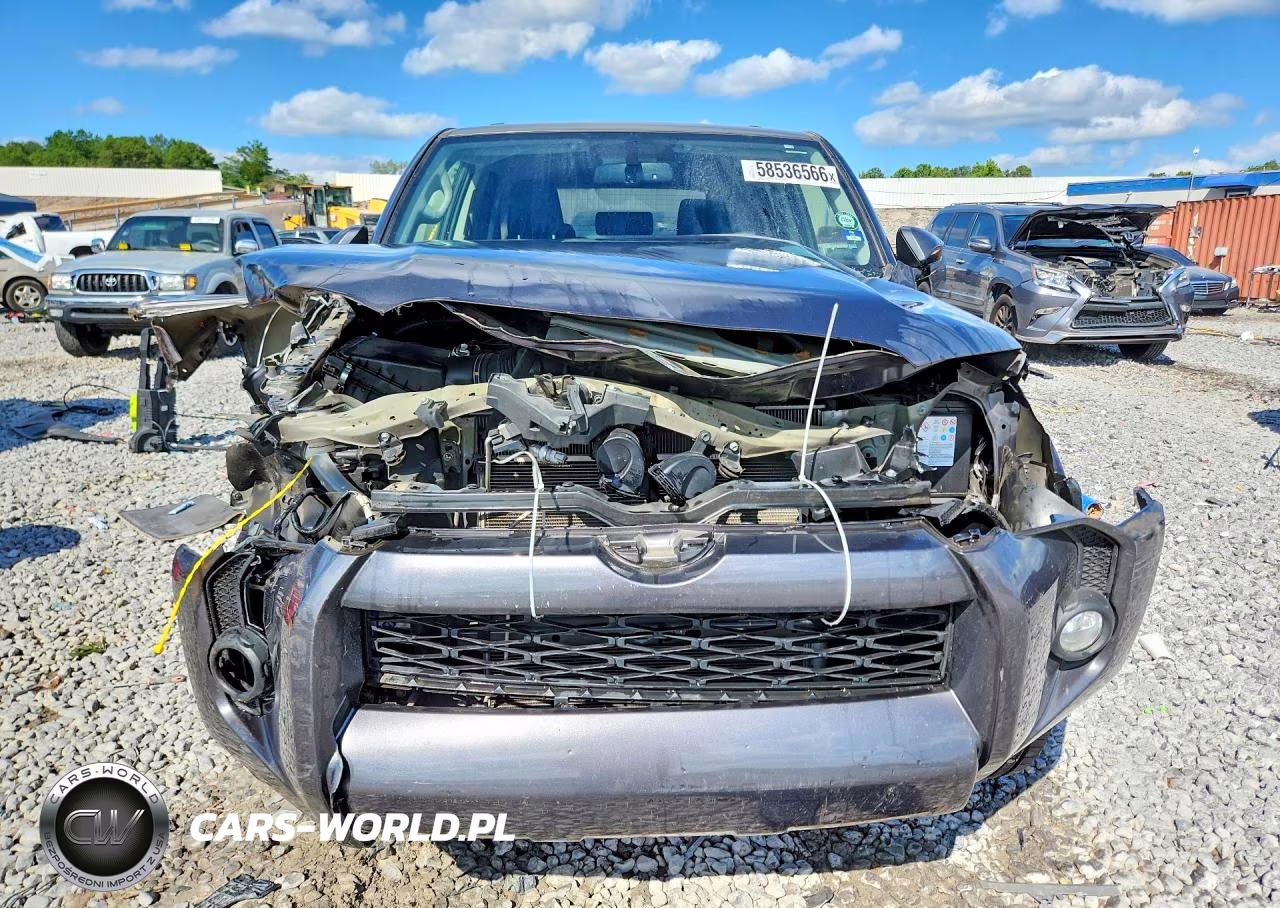 2019 Toyota 4Runner Sr5 Premium VIN:JTEZU5JR8K5204410 - 5