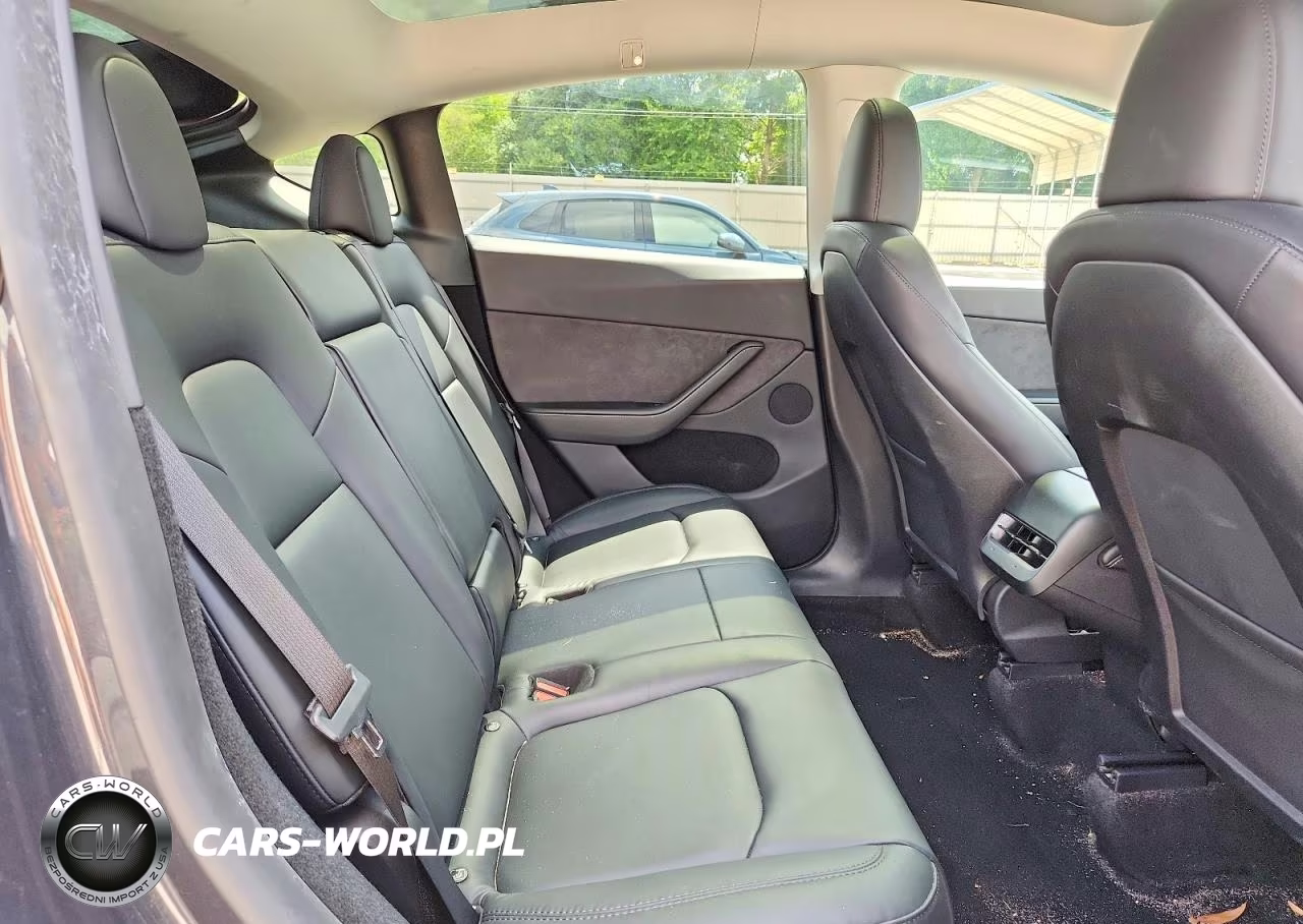 2024 Tesla Model Y VIN:7SAYGDED6RA304109 - 10