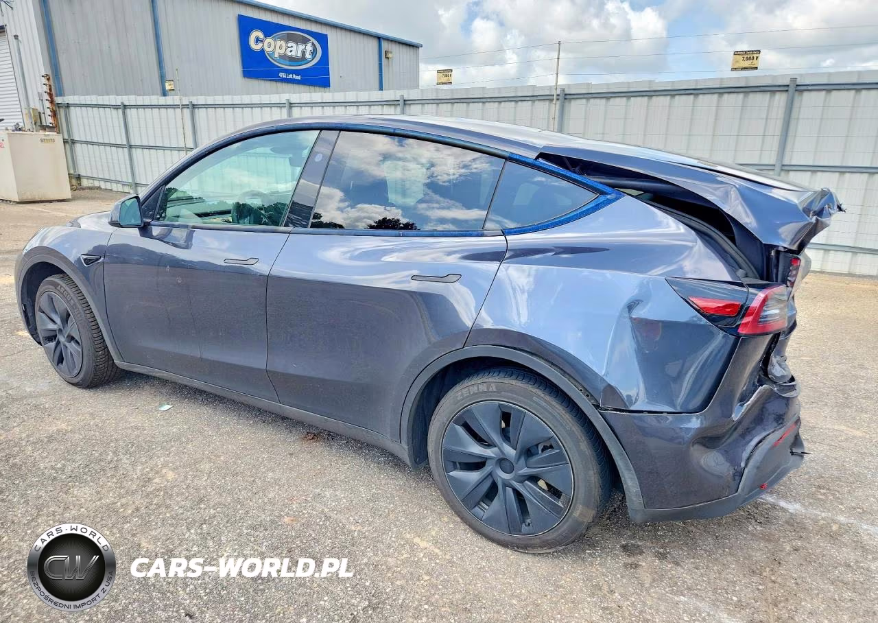 2024 Tesla Model Y VIN:7SAYGDED6RA304109 - 2