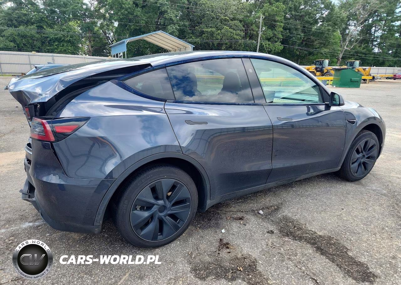 2024 Tesla Model Y VIN:7SAYGDED6RA304109 - 3