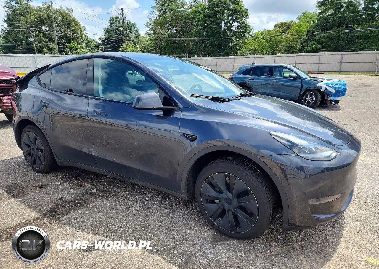 2024 Tesla Model Y VIN:7SAYGDED6RA304109 - 4