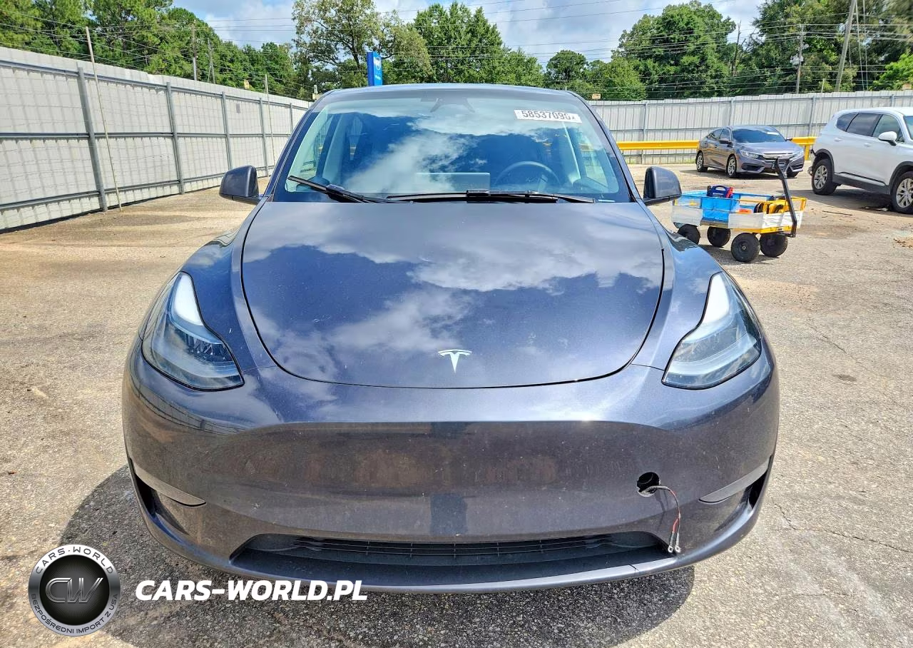 2024 Tesla Model Y VIN:7SAYGDED6RA304109 - 5
