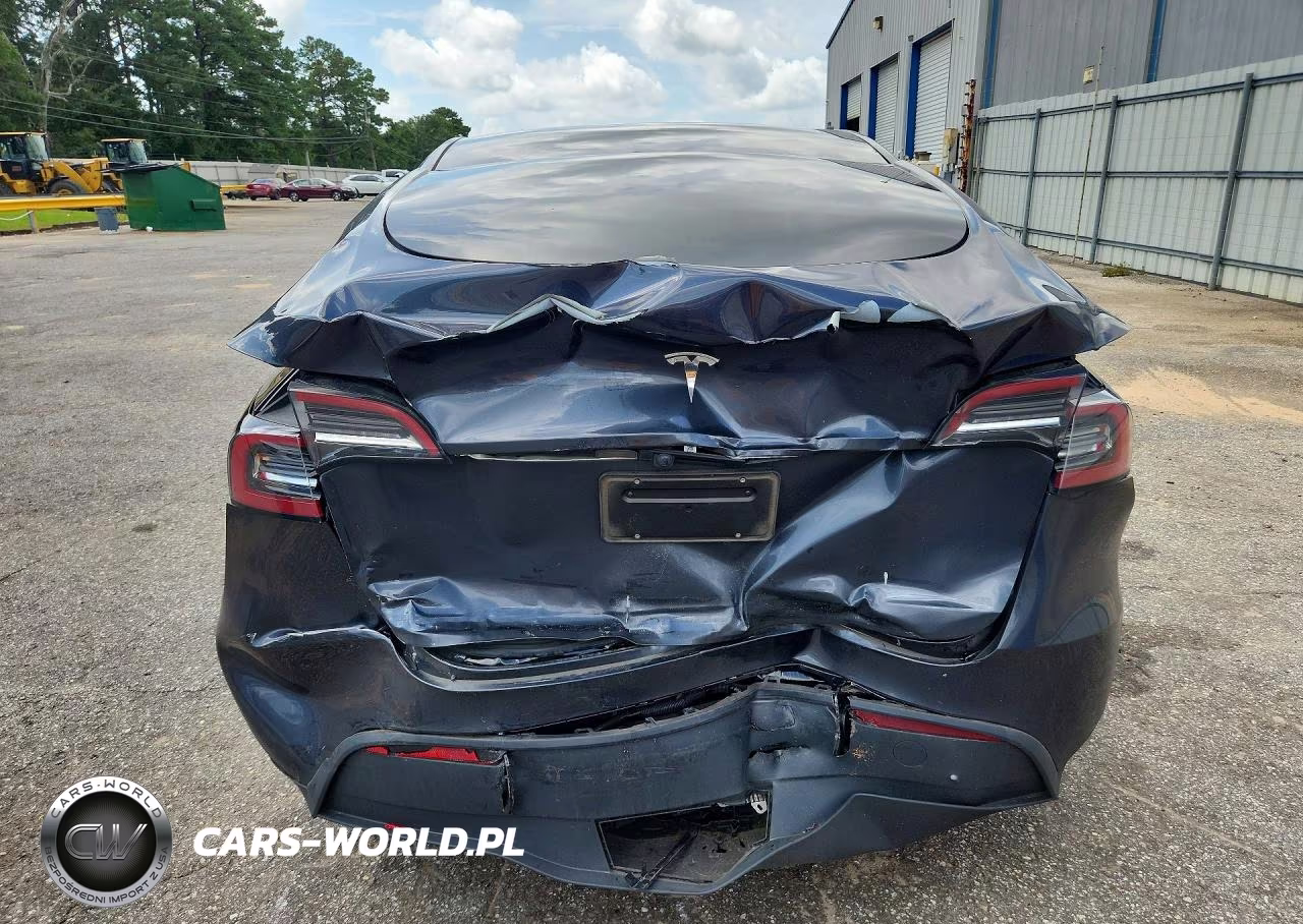 2024 Tesla Model Y VIN:7SAYGDED6RA304109 - 6