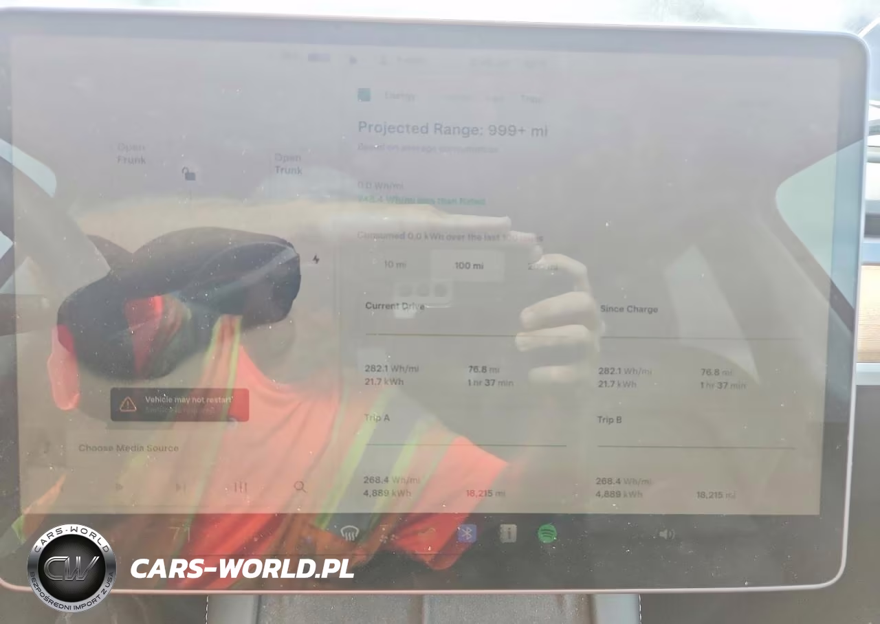 2024 Tesla Model Y VIN:7SAYGDED6RA304109 - 9