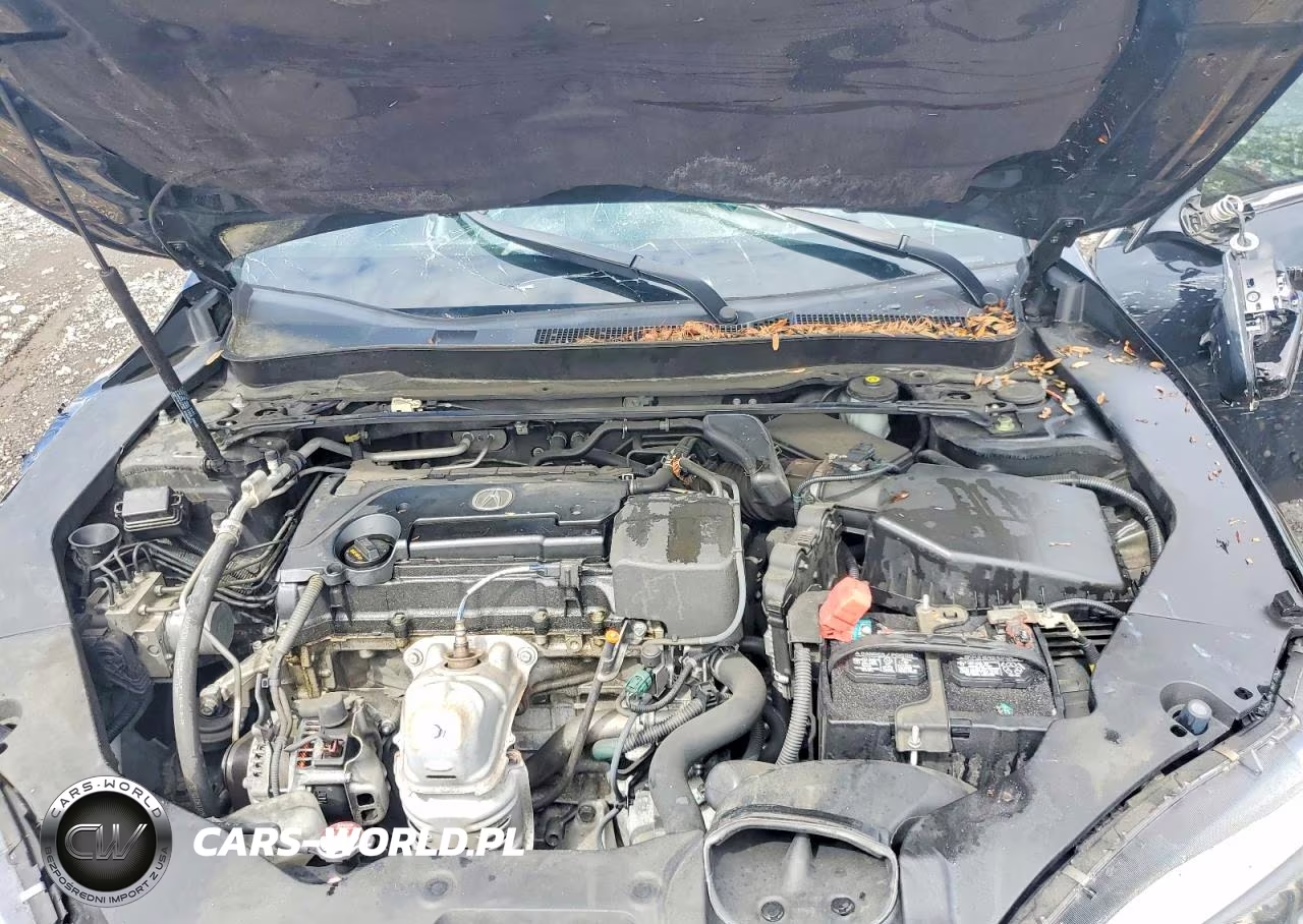 2019 Acura Tlx Technology VIN:19UUB1F52KA010368 - 11