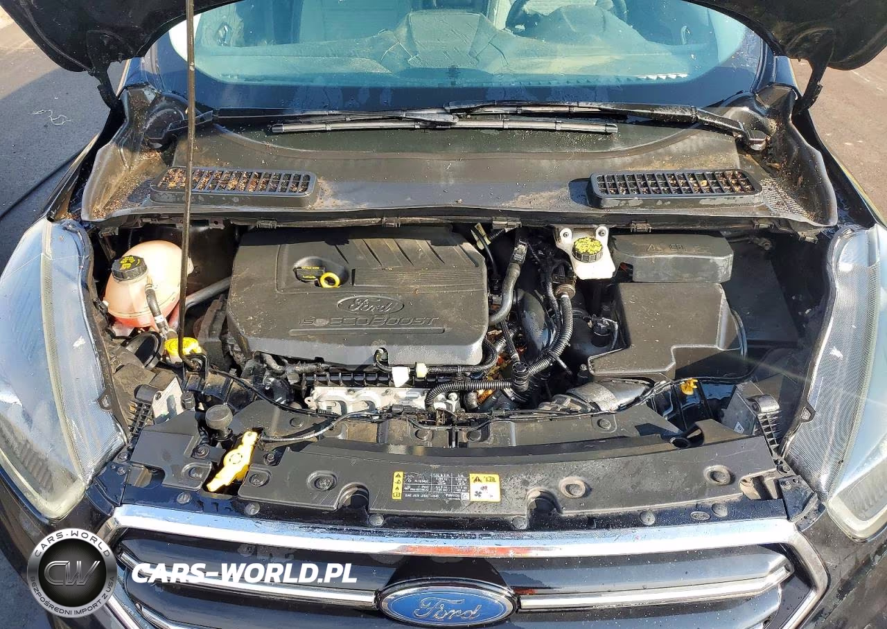 2018 Ford Escape Se VIN:1FMCU9GDXJUB10770 - 12