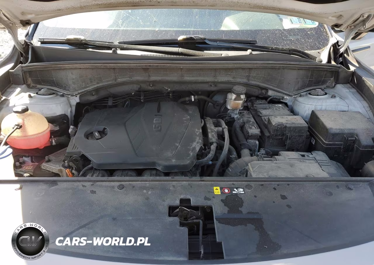 2023 Kia Sorento S VIN:5XYRLDLC7PG229517 - 12