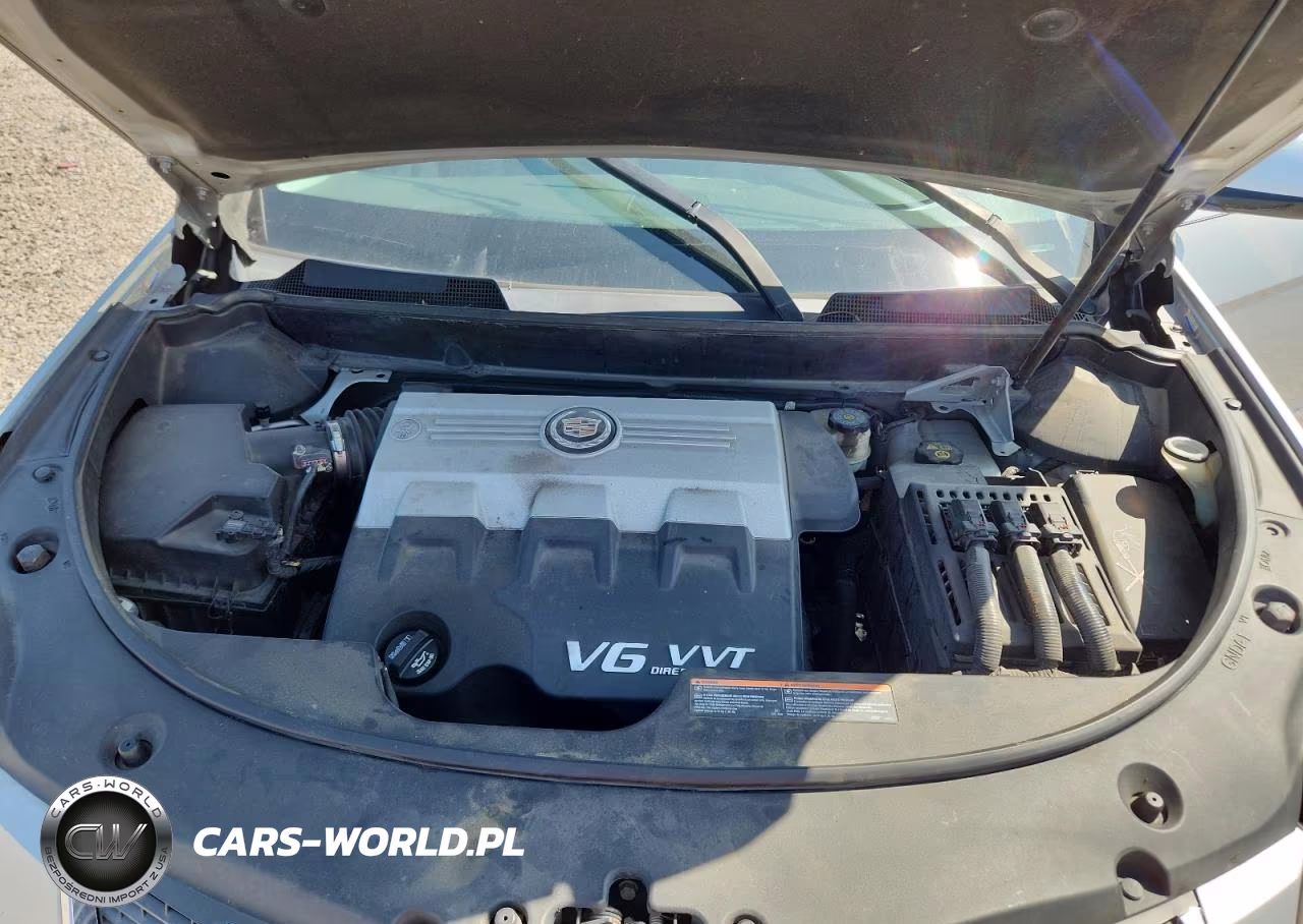 2010 Cadillac Srx Performance Collection VIN:3GYFNBEY0AS543861 - 12
