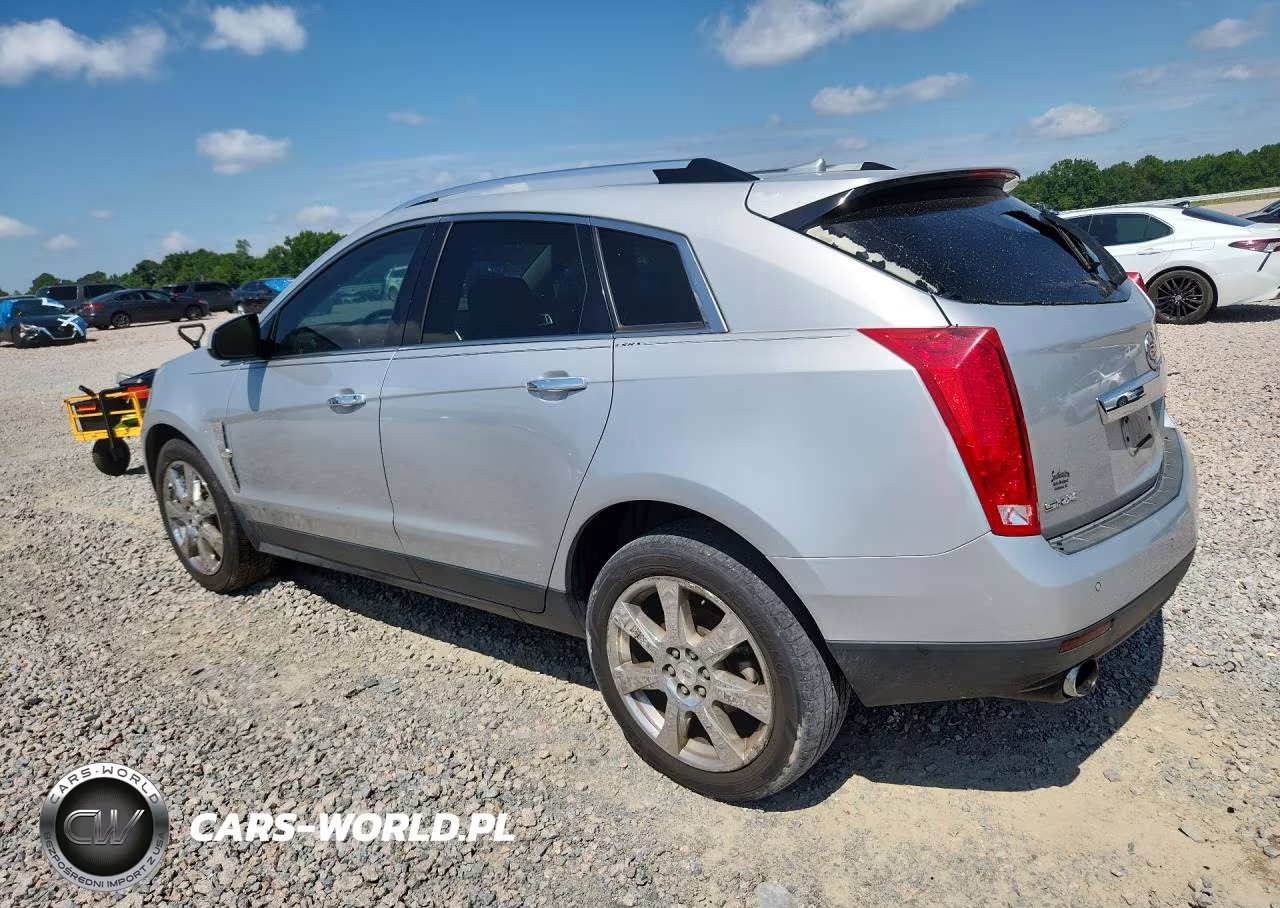 2010 Cadillac Srx Performance Collection VIN:3GYFNBEY0AS543861 - 2