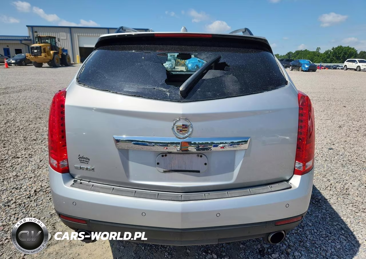 2010 Cadillac Srx Performance Collection VIN:3GYFNBEY0AS543861 - 6