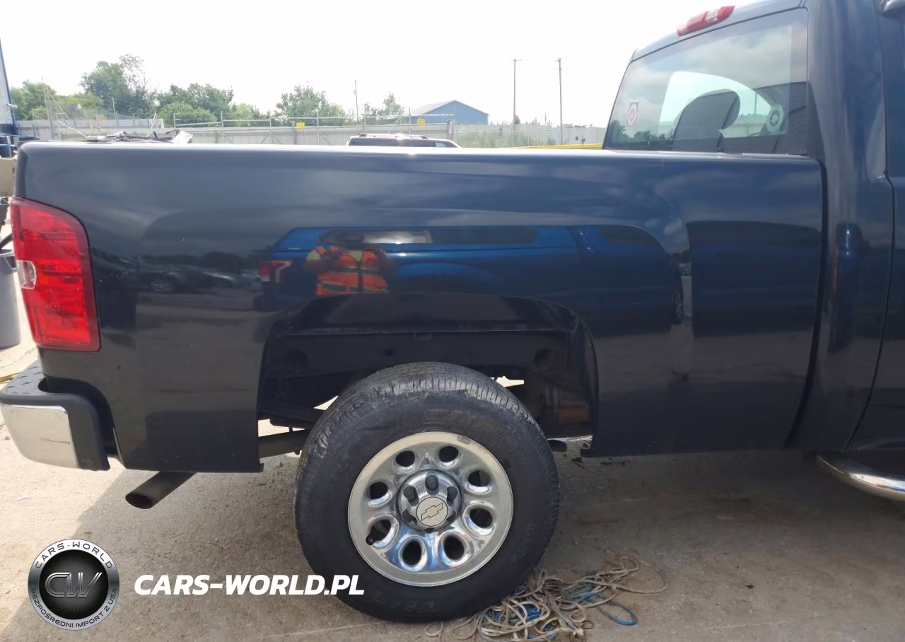 2012 Chevrolet Silverado C1500 VIN:1GCNCPEA3CZ231479 - 10