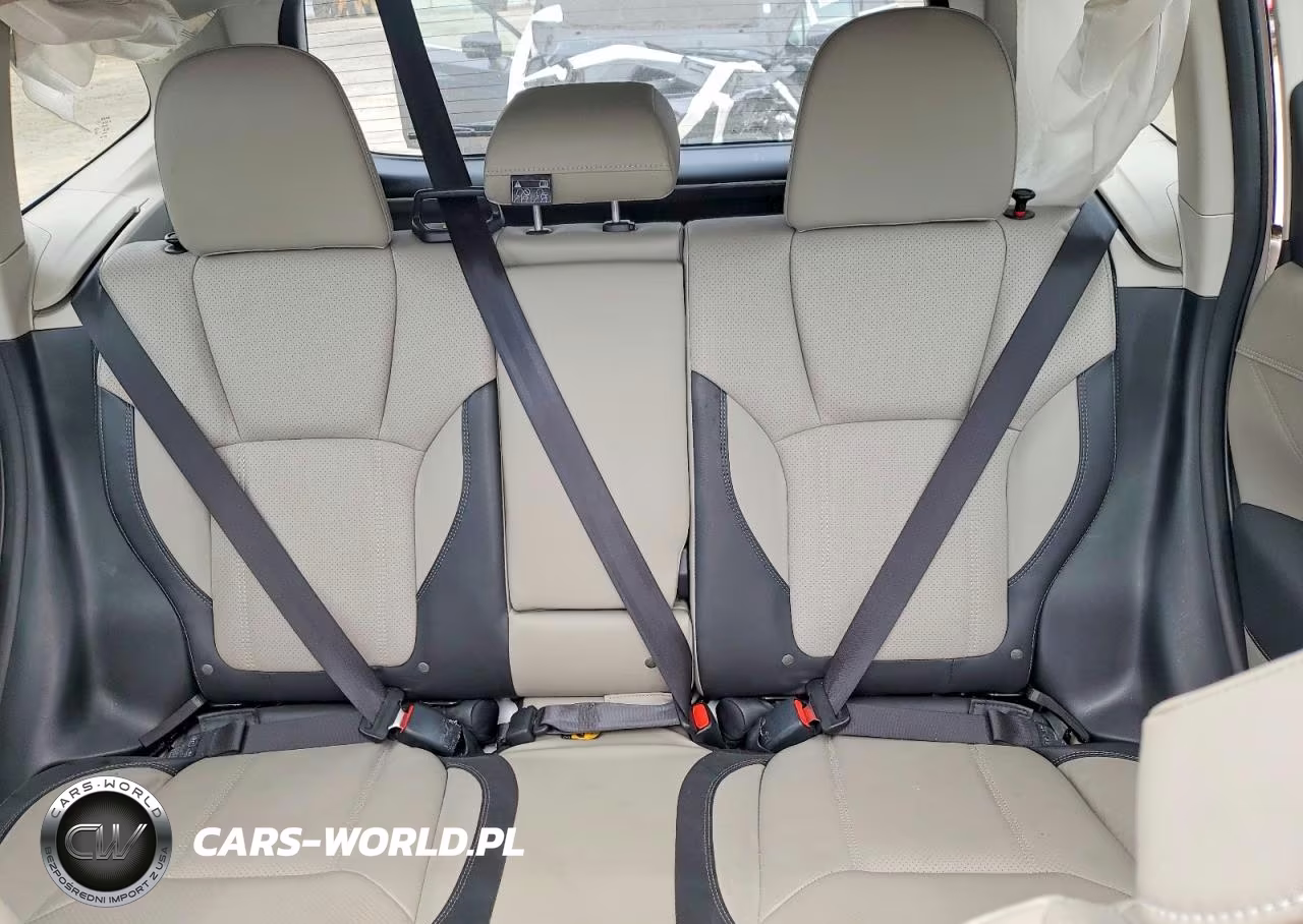 2023 Subaru Forester Limited VIN:JF2SKAPC8PH533610 - 10