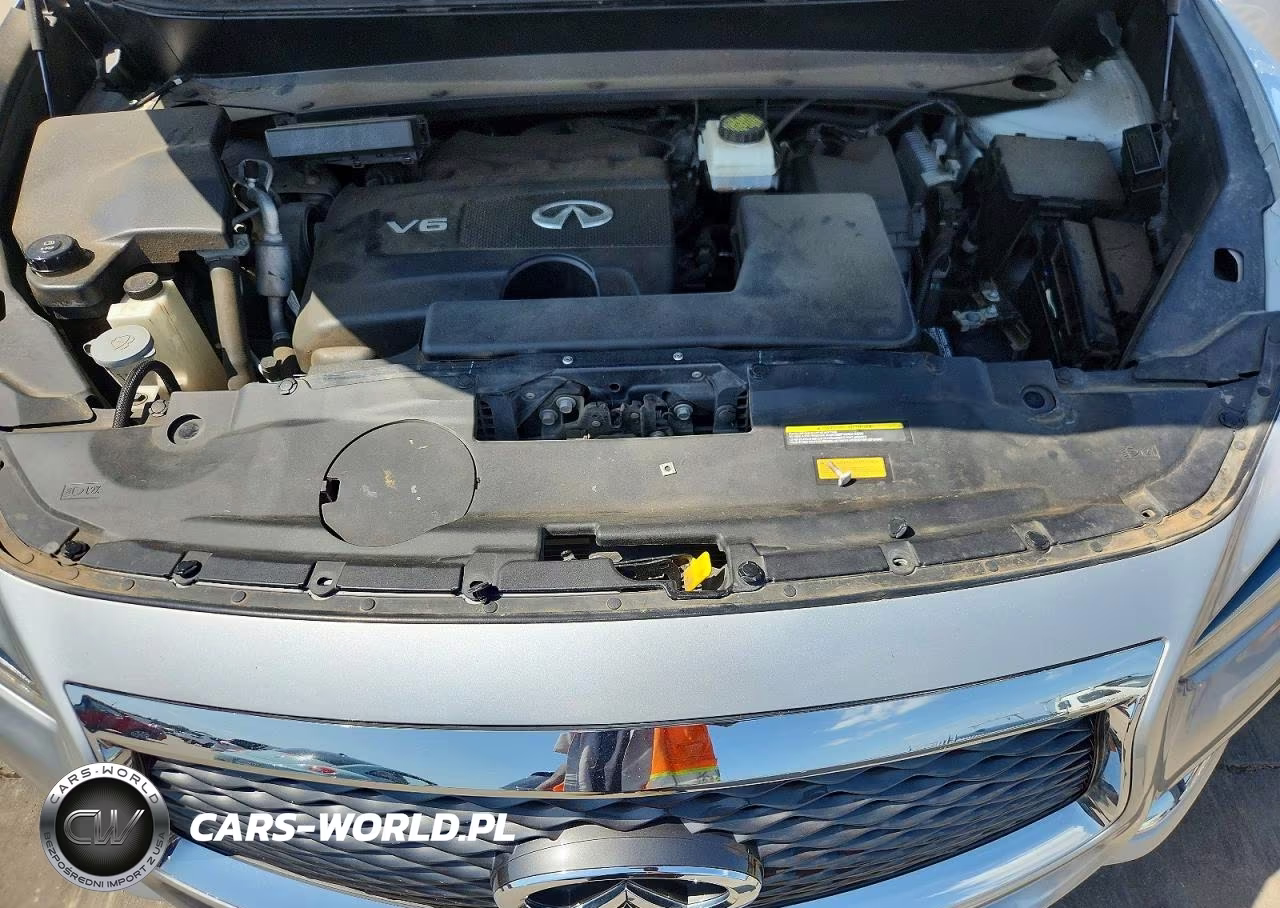 2020 Infiniti Qx60 Pure VIN:5N1DL0MM7LC531331 - 12