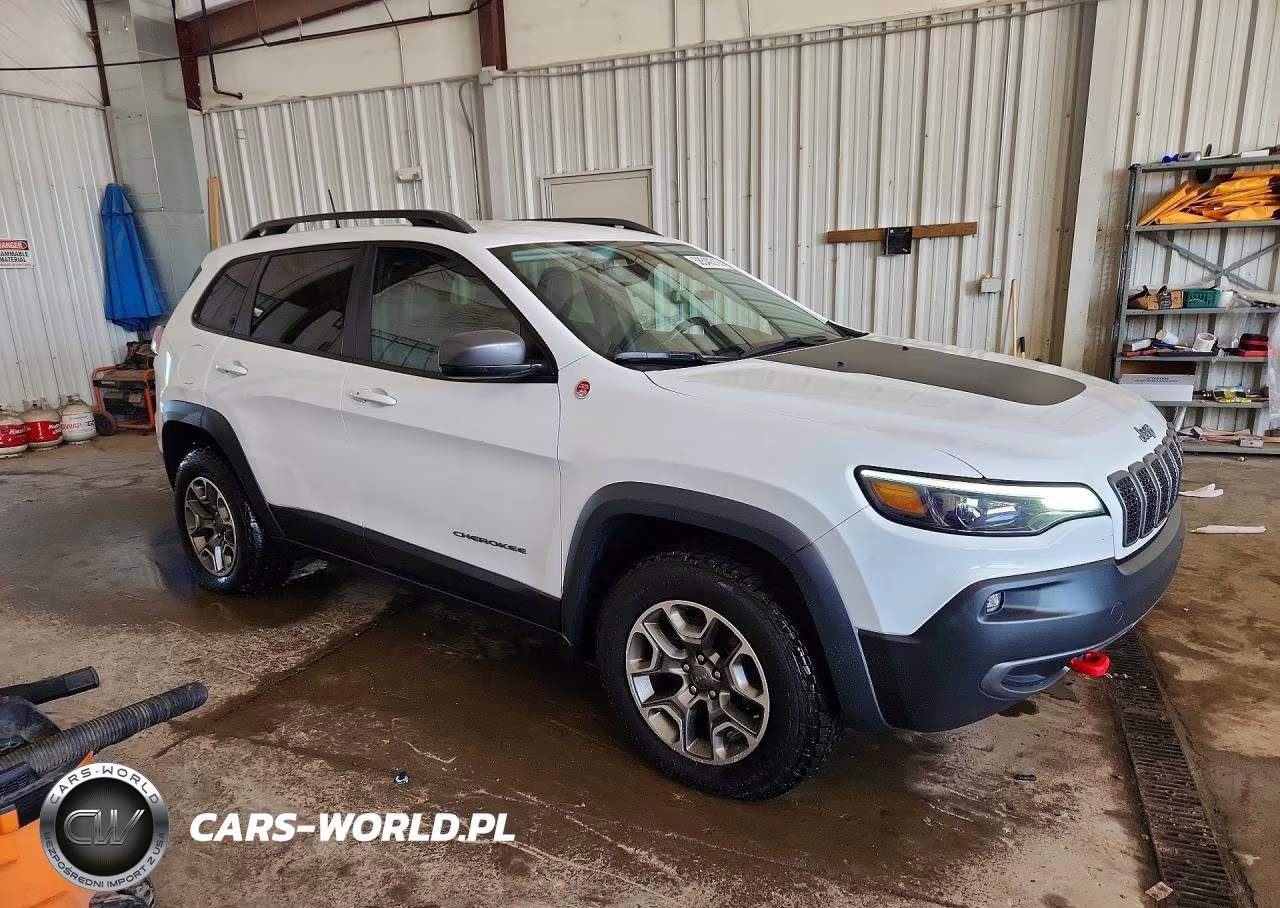 2020 Jeep Cherokee Trailhawk VIN:1C4PJMBX1LD563472 - 4