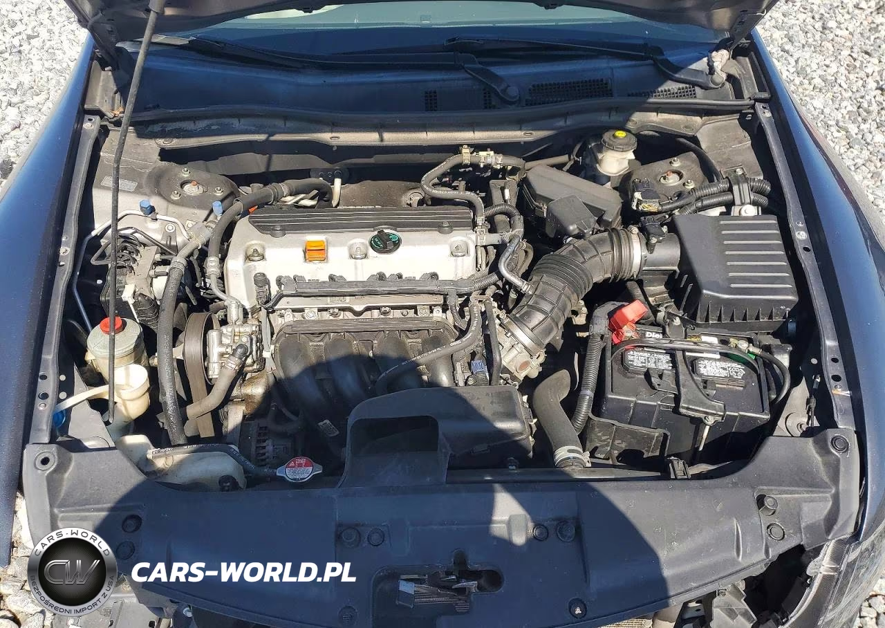 2010 Honda Accord Lxp VIN:1HGCP2F44AA156862 - 11
