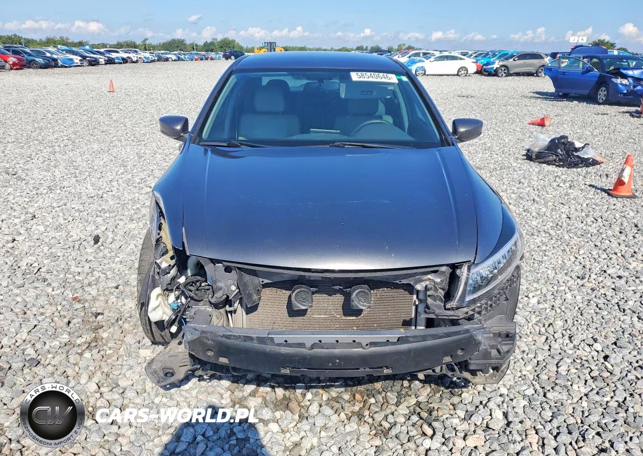 2010 Honda Accord Lxp VIN:1HGCP2F44AA156862 - 5