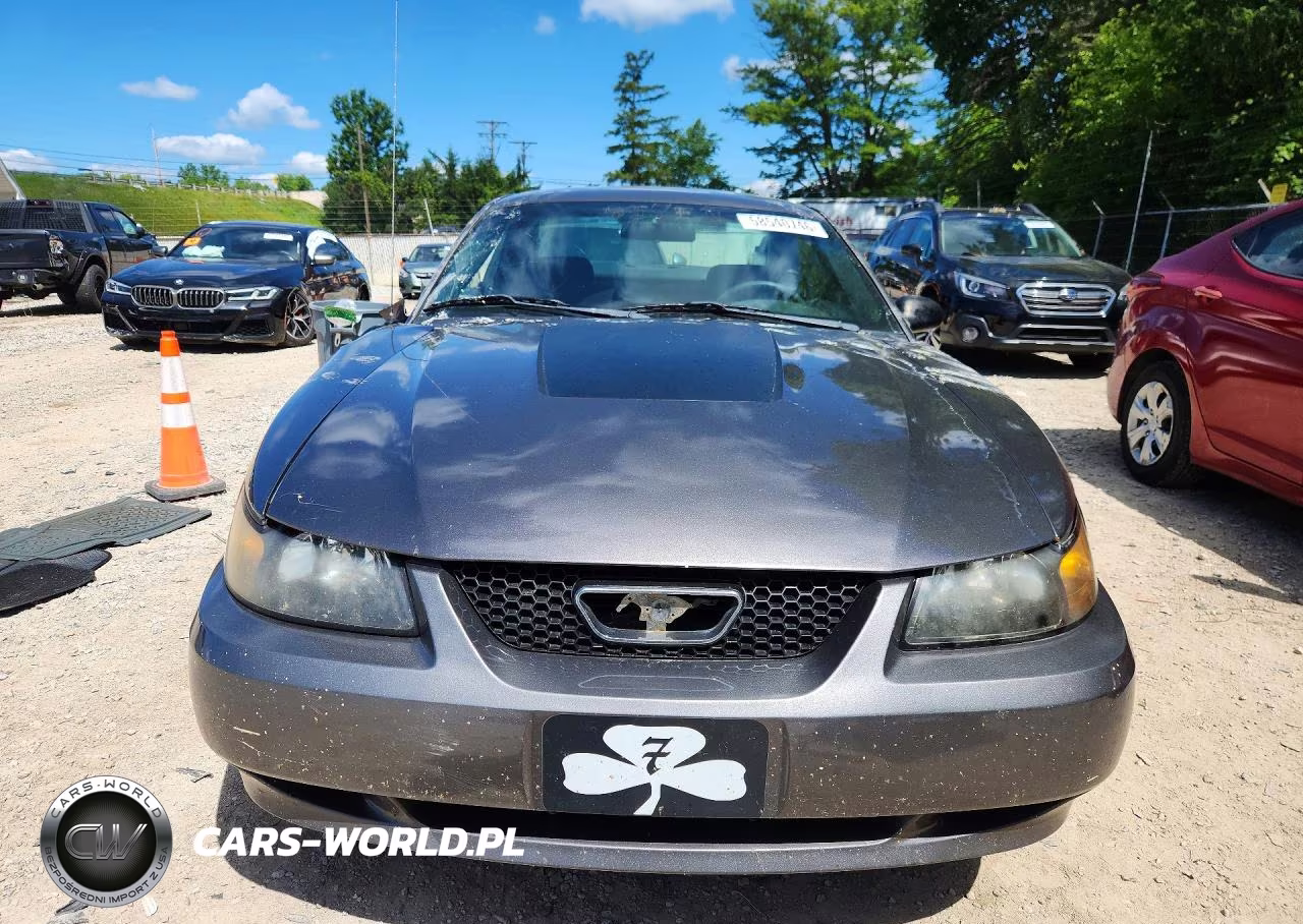 2004 Ford Mustang VIN:1FAFP40694F194974 - 5