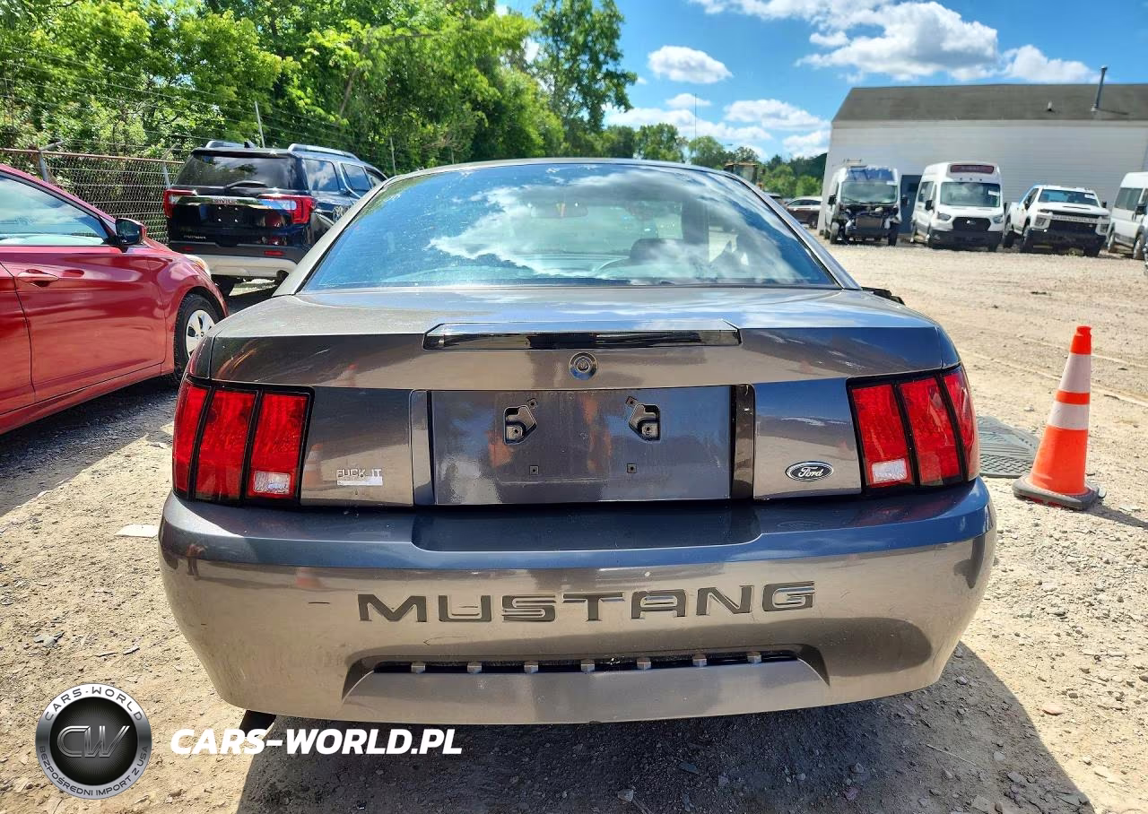 2004 Ford Mustang VIN:1FAFP40694F194974 - 6