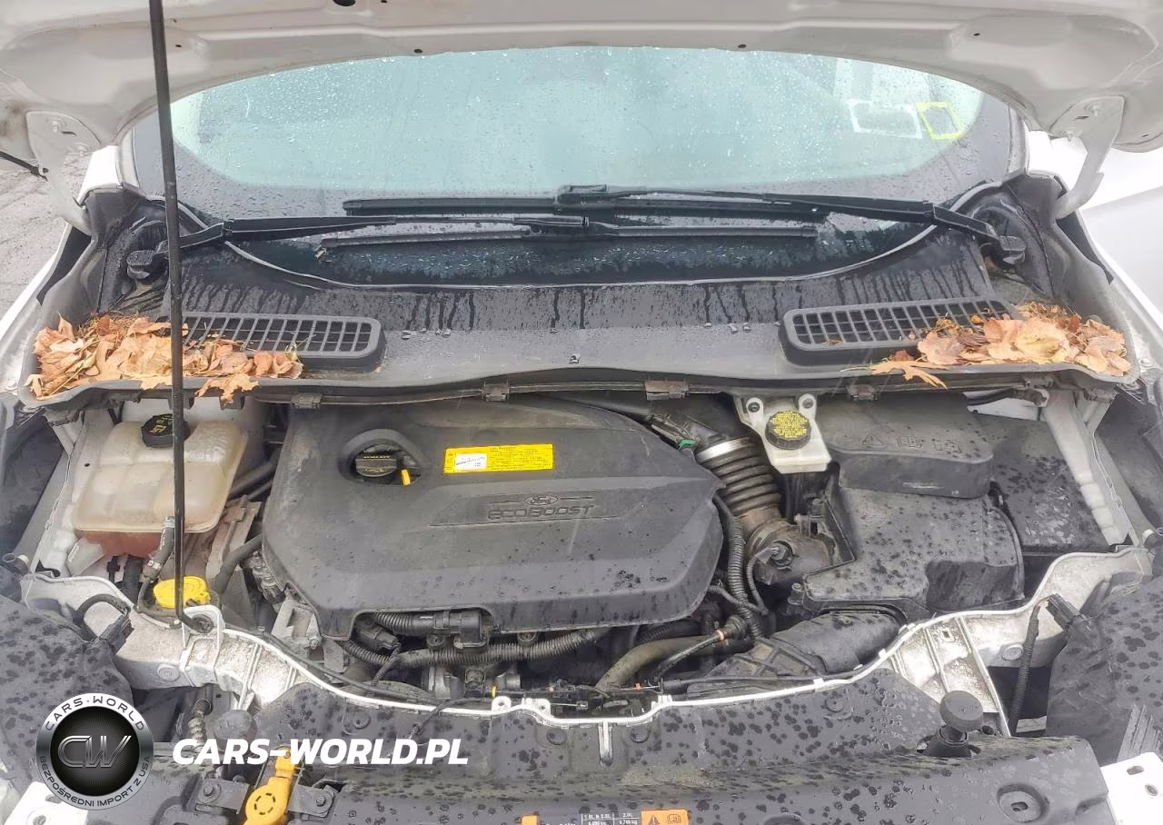 2016 Ford Escape Se VIN:1FMCU9GX2GUB64969 - 12