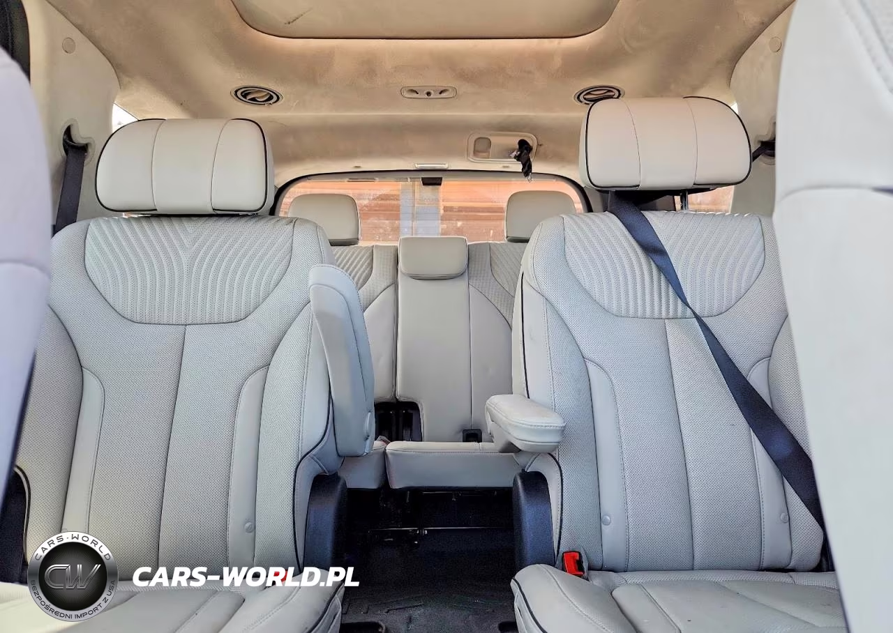 2025 Hyundai Palisade Calligraphy VIN:KM8R74GE3SU842057 - 10