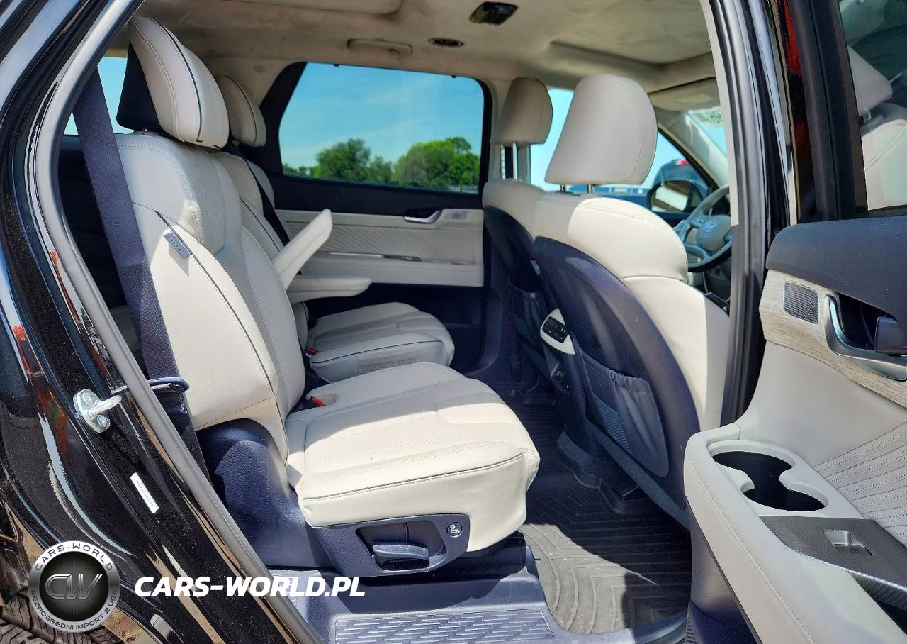 2025 Hyundai Palisade Calligraphy VIN:KM8R74GE3SU842057 - 11