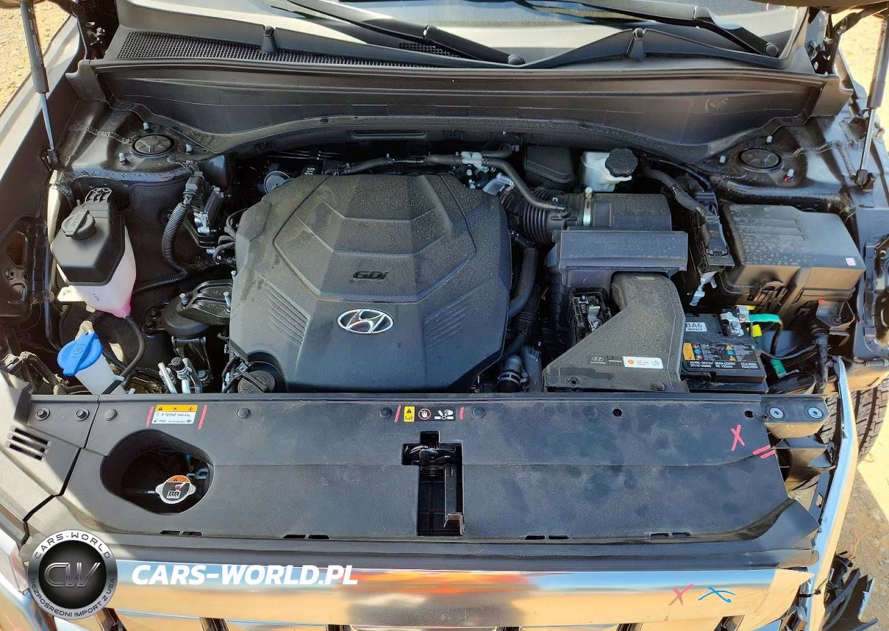 2025 Hyundai Palisade Calligraphy VIN:KM8R74GE3SU842057 - 12