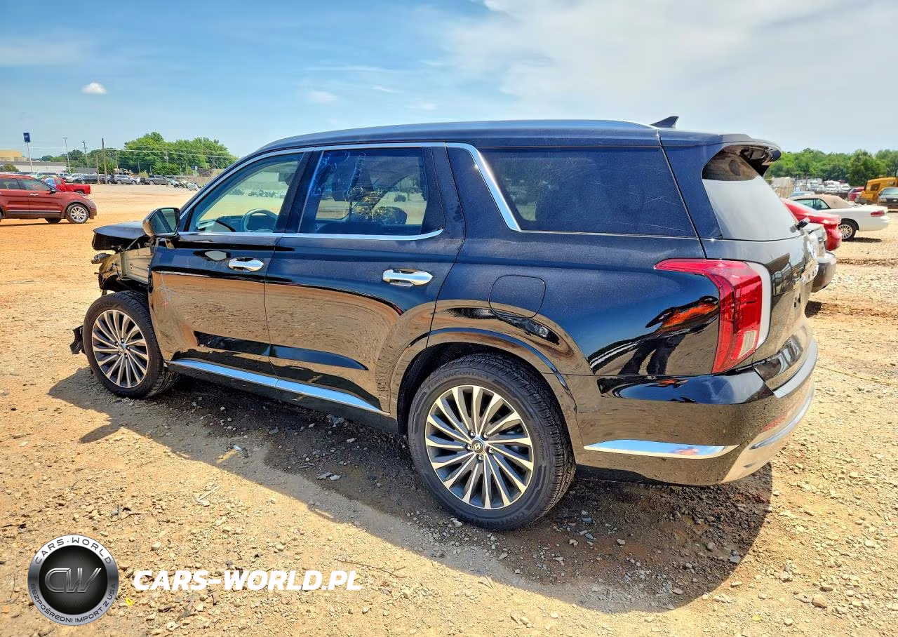 2025 Hyundai Palisade Calligraphy VIN:KM8R74GE3SU842057 - 2