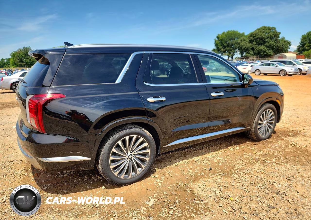 2025 Hyundai Palisade Calligraphy VIN:KM8R74GE3SU842057 - 3