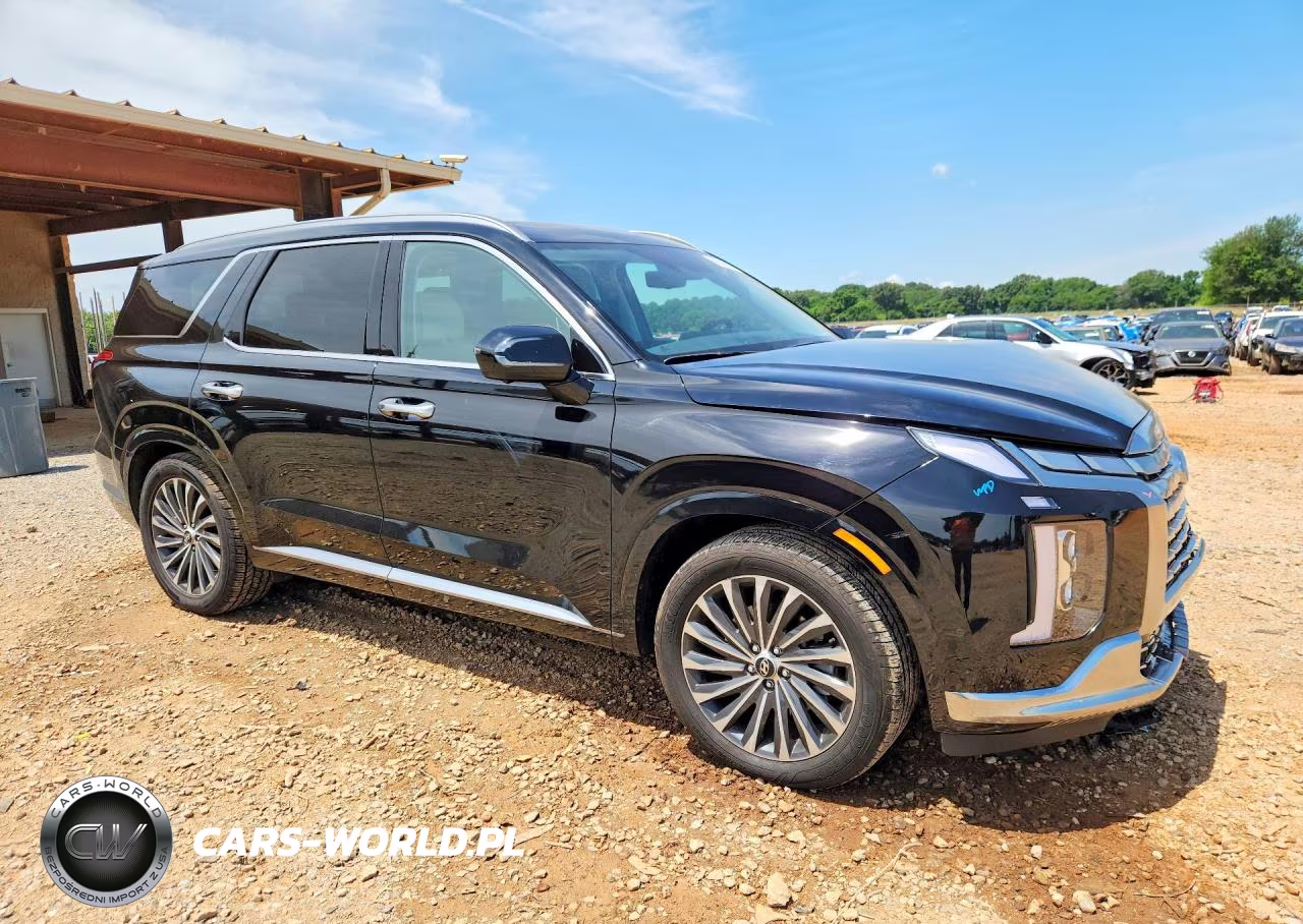 2025 Hyundai Palisade Calligraphy VIN:KM8R74GE3SU842057 - 4
