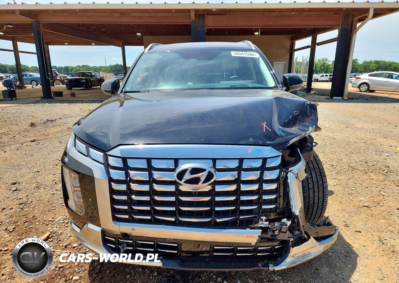2025 Hyundai Palisade Calligraphy VIN:KM8R74GE3SU842057 - 5