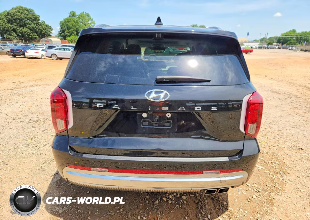 2025 Hyundai Palisade Calligraphy VIN:KM8R74GE3SU842057 - 6