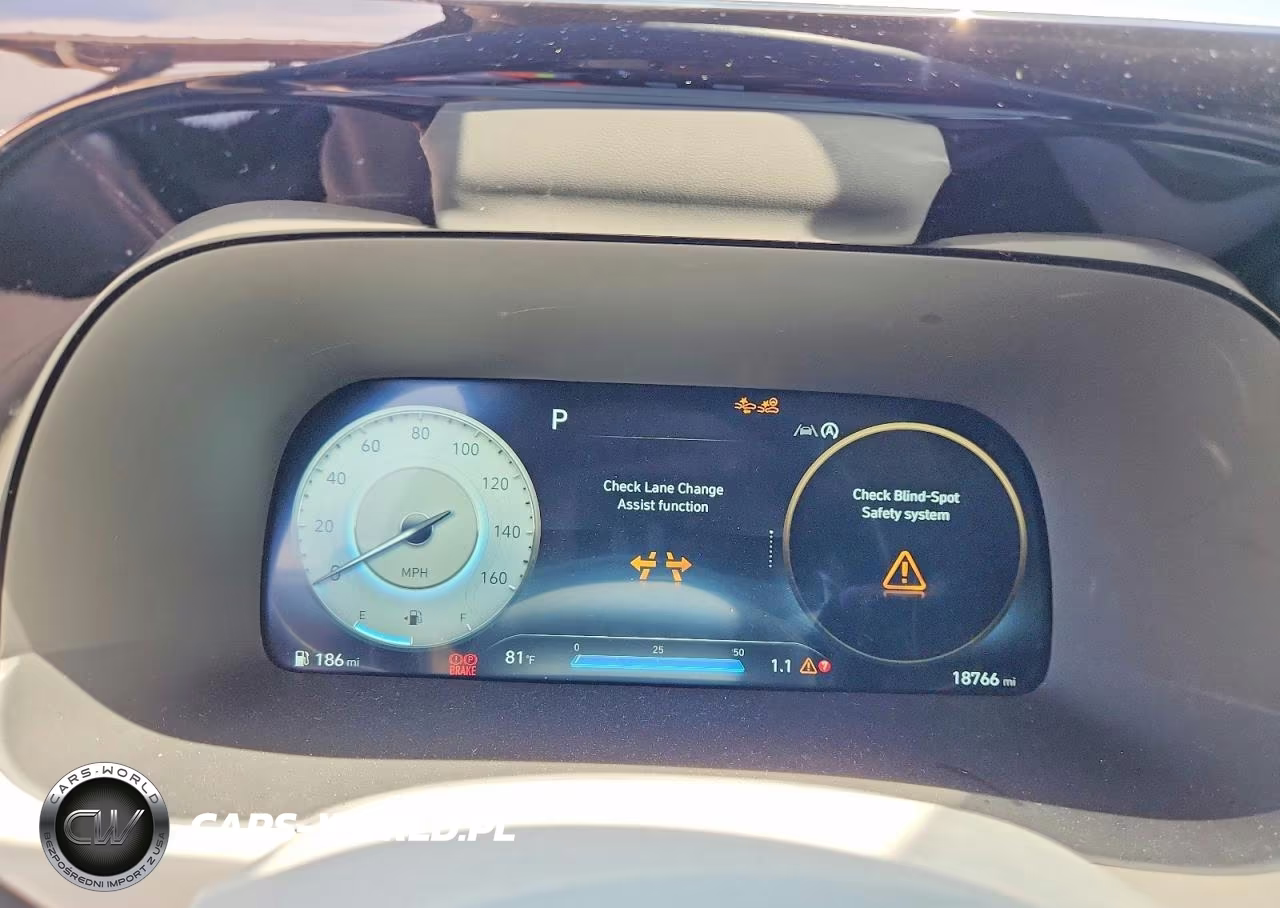 2025 Hyundai Palisade Calligraphy VIN:KM8R74GE3SU842057 - 9