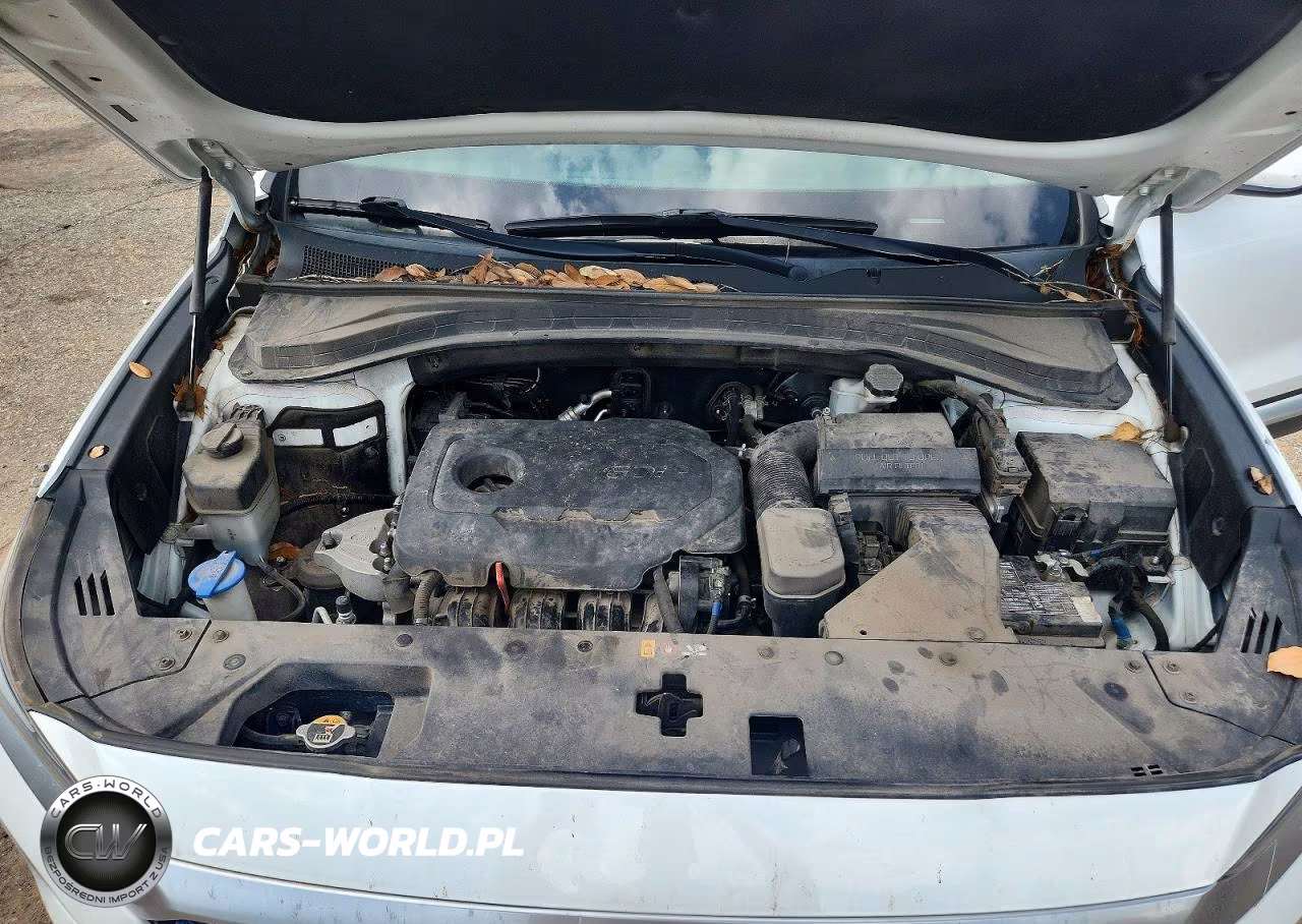 2019 Hyundai Santa Fe Se VIN:5NMS23AD7KH064335 - 12