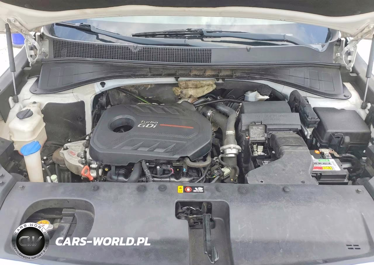2017 Kia Sorento Ex VIN:5XYPH4A15HG240446 - 12
