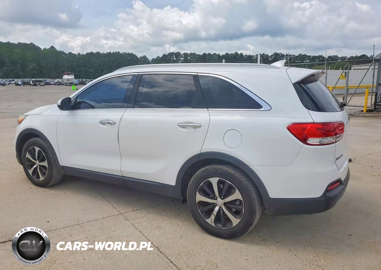 2017 Kia Sorento Ex VIN:5XYPH4A15HG240446 - 2