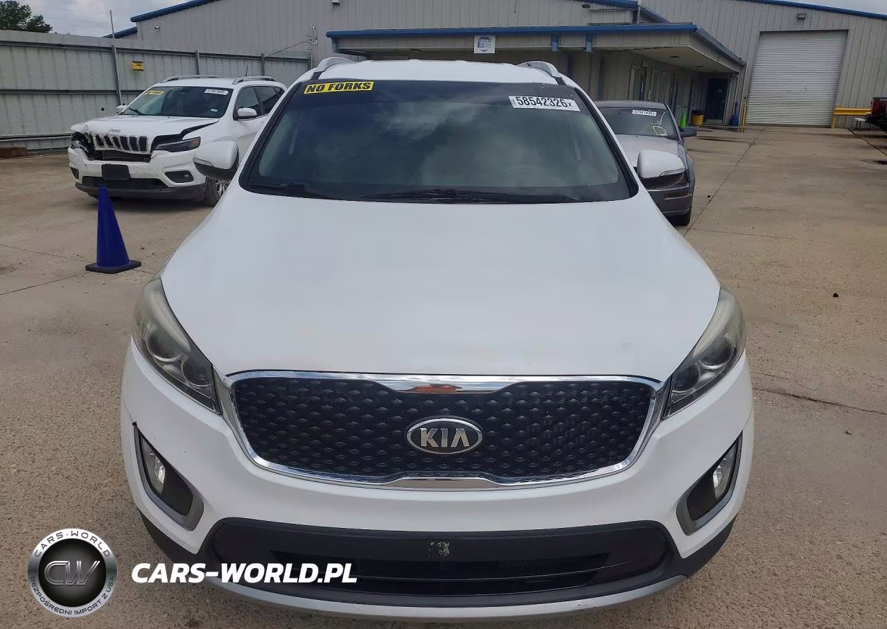 2017 Kia Sorento Ex VIN:5XYPH4A15HG240446 - 5