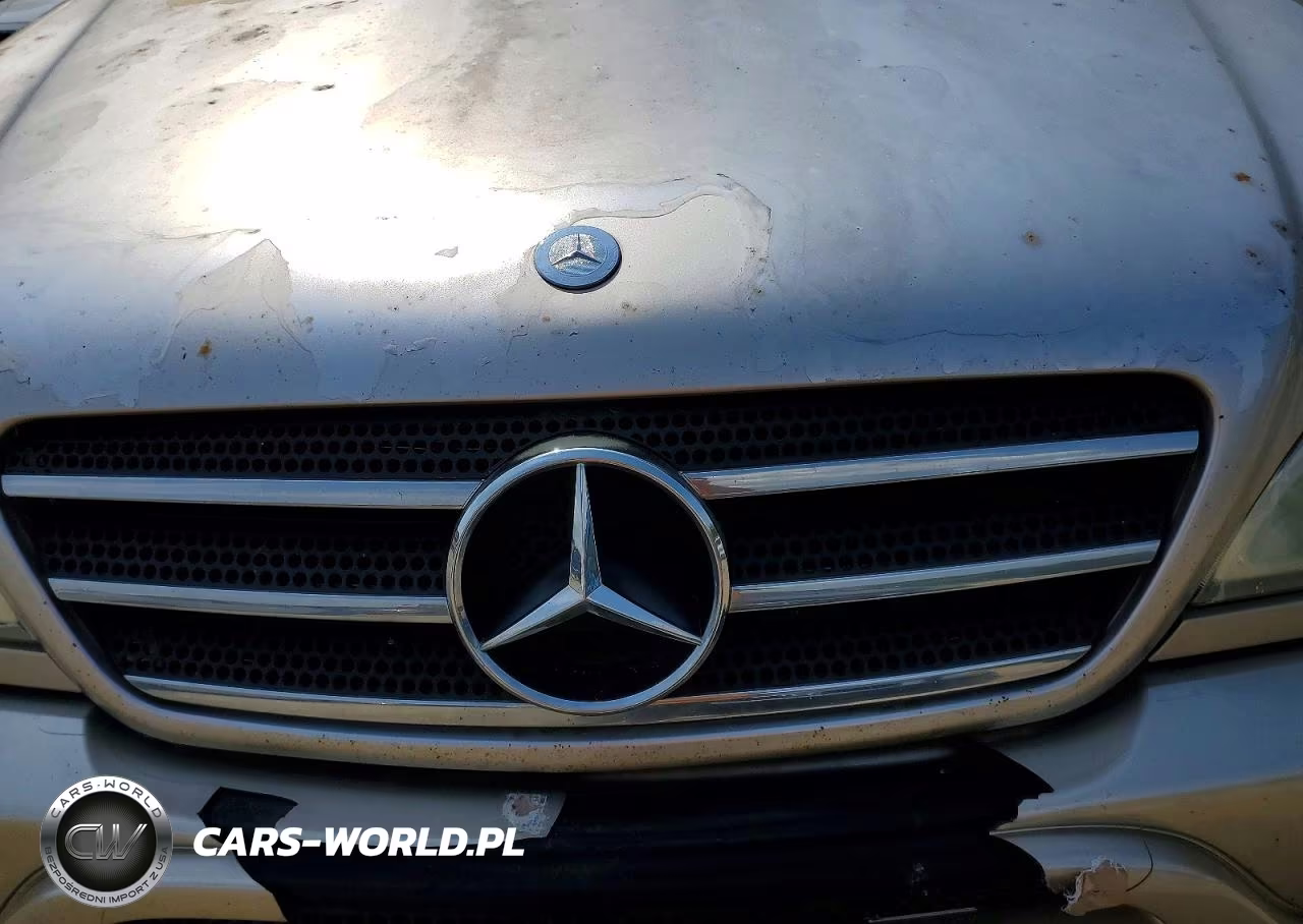 2002 Mercedes-Benz Ml 500 VIN:4JGAB75E42A359081 - 12