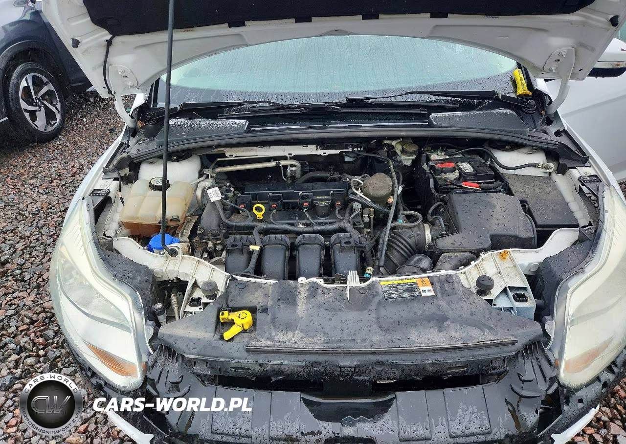 2013 Ford Focus Se VIN:1FADP3K24DL231197 - 11