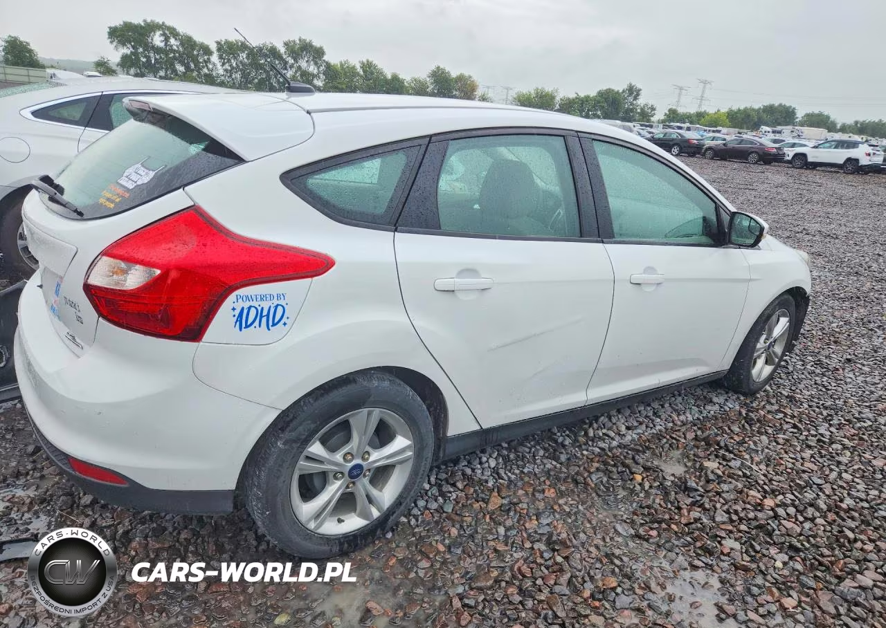 2013 Ford Focus Se VIN:1FADP3K24DL231197 - 3